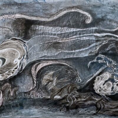 The Places We Don't Know About #1