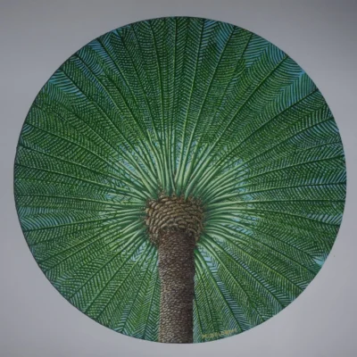 Aruba's Palm Tree