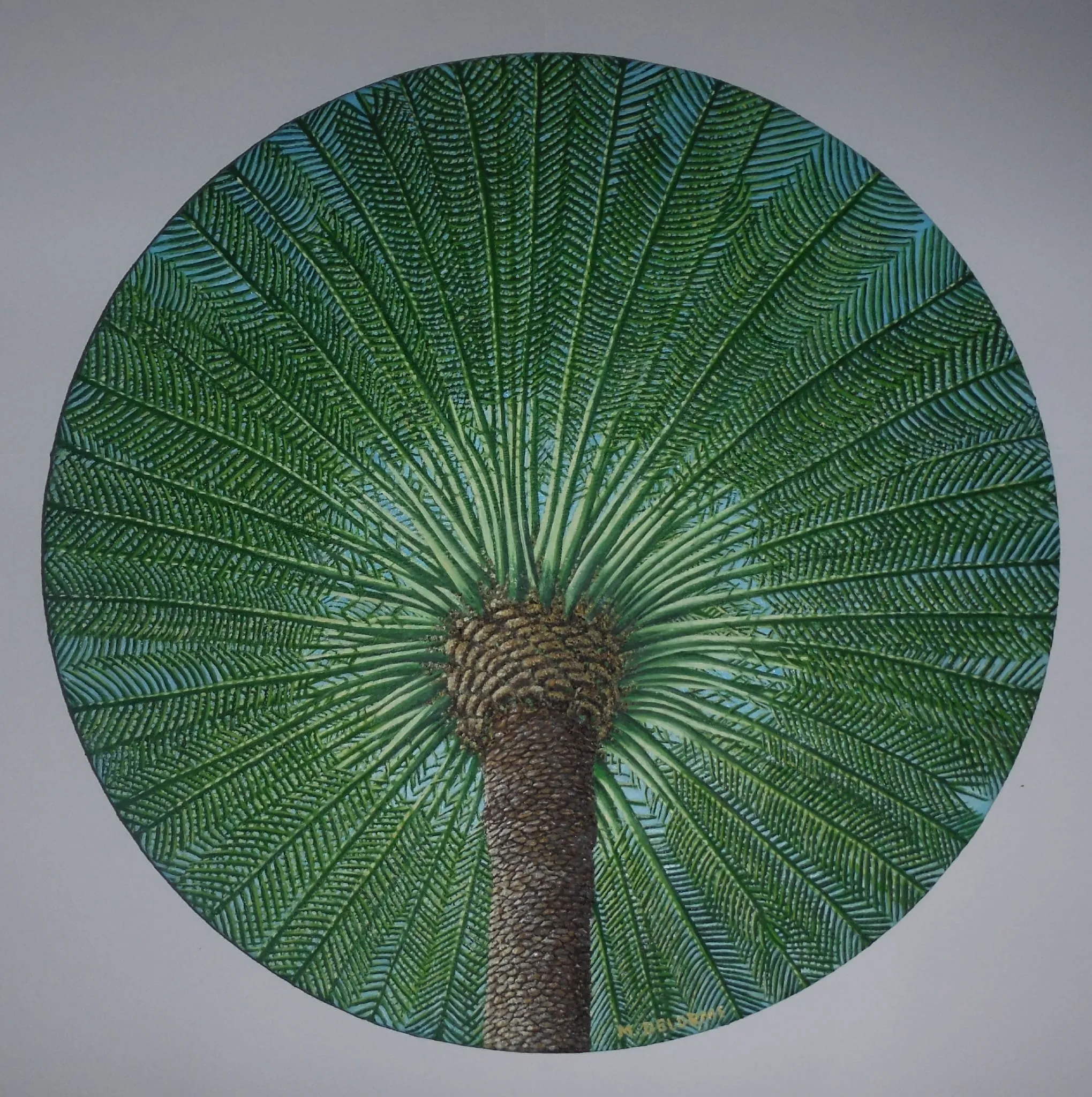 Aruba's Palm Tree