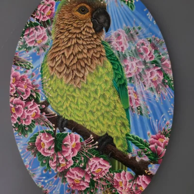 Aruba's Prikichi Parakeet in a Tuturutu Tree