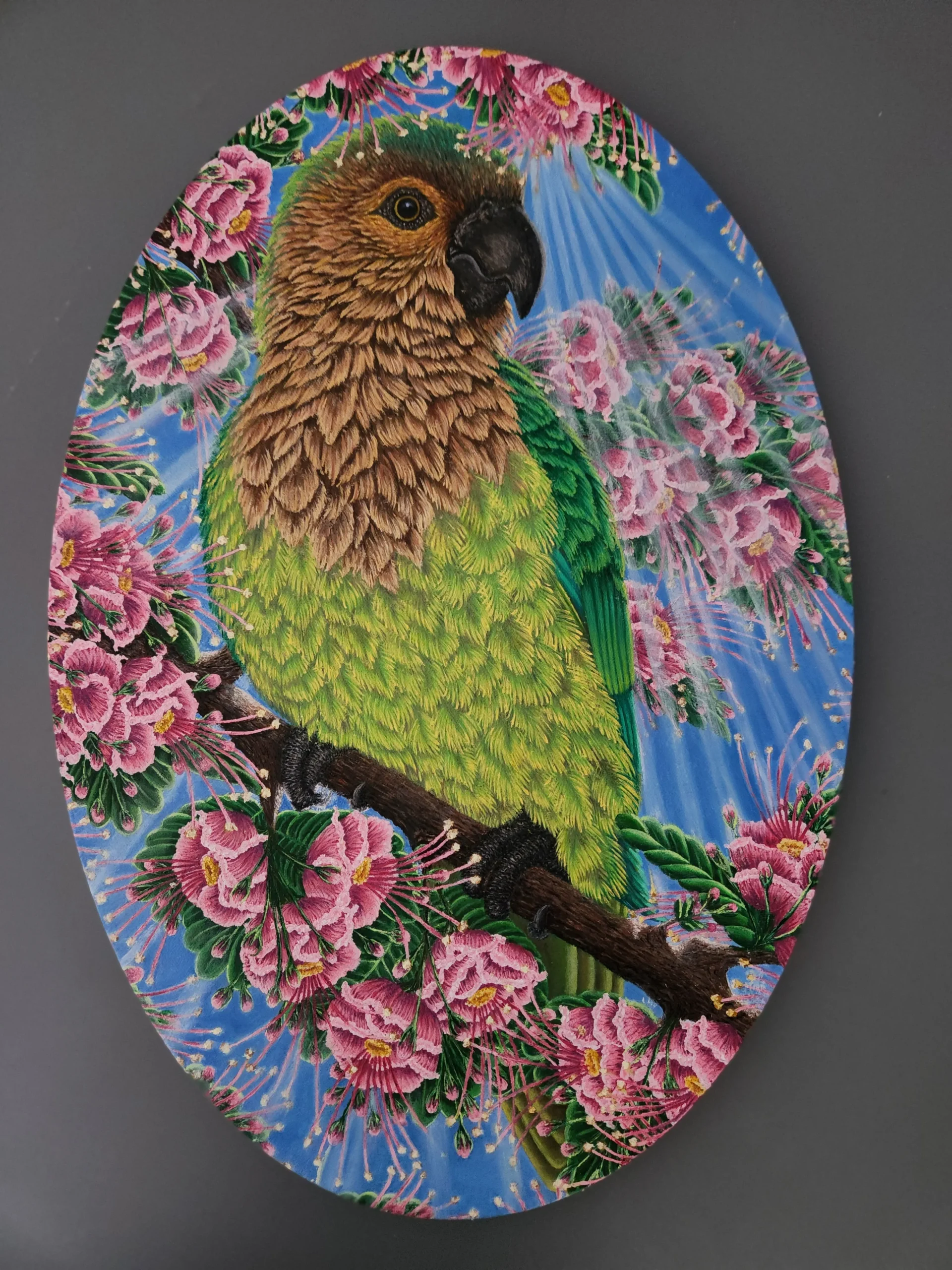 Aruba's Prikichi Parakeet in a Tuturutu Tree