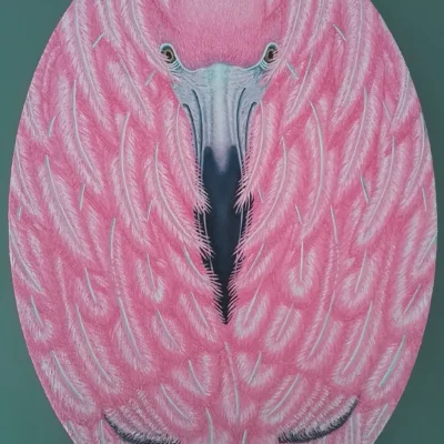 Watching my back - Flamingo