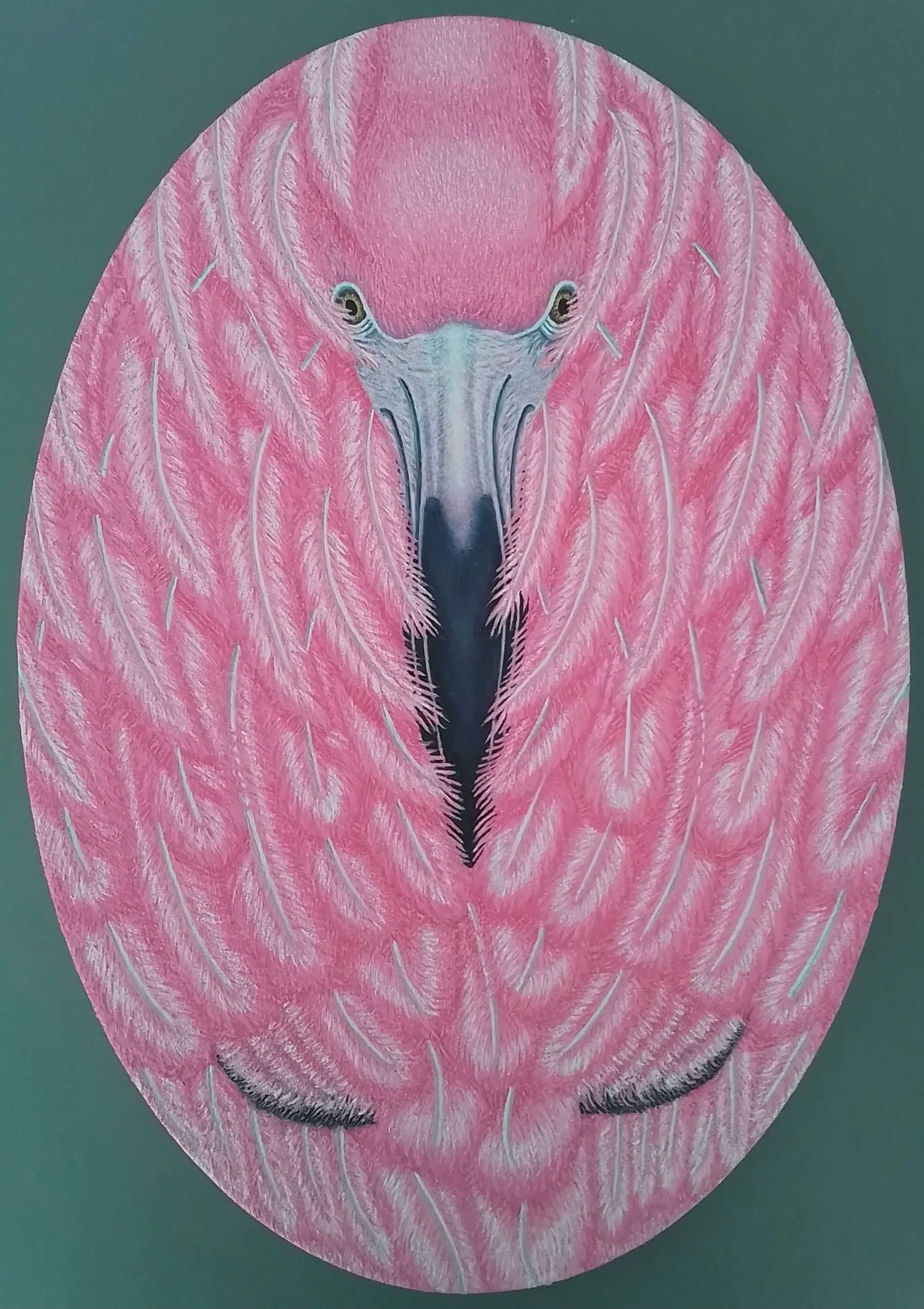 Watching my back - Flamingo