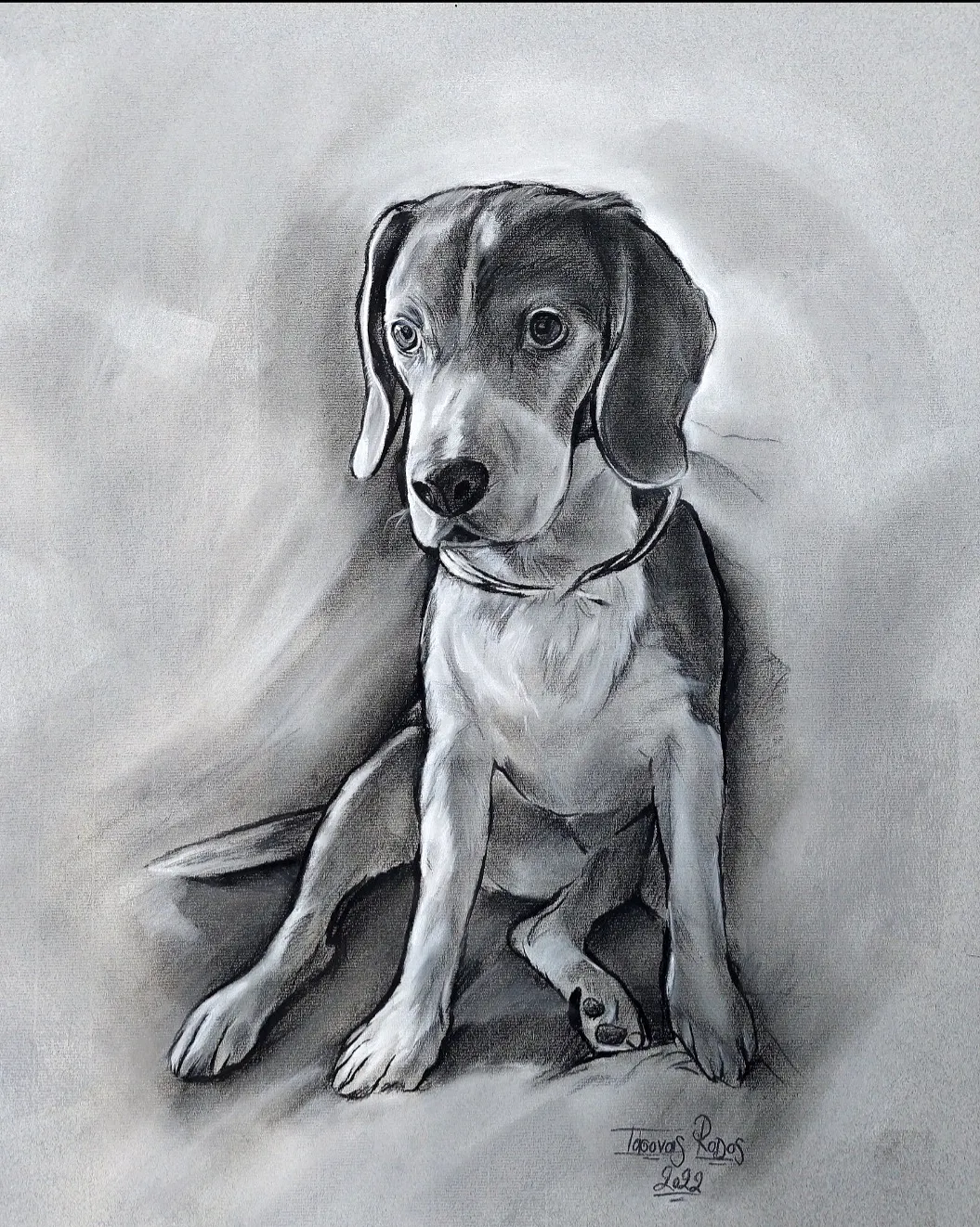 Dog