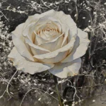 Monologue · White Rose