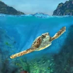 Turtle Passage
