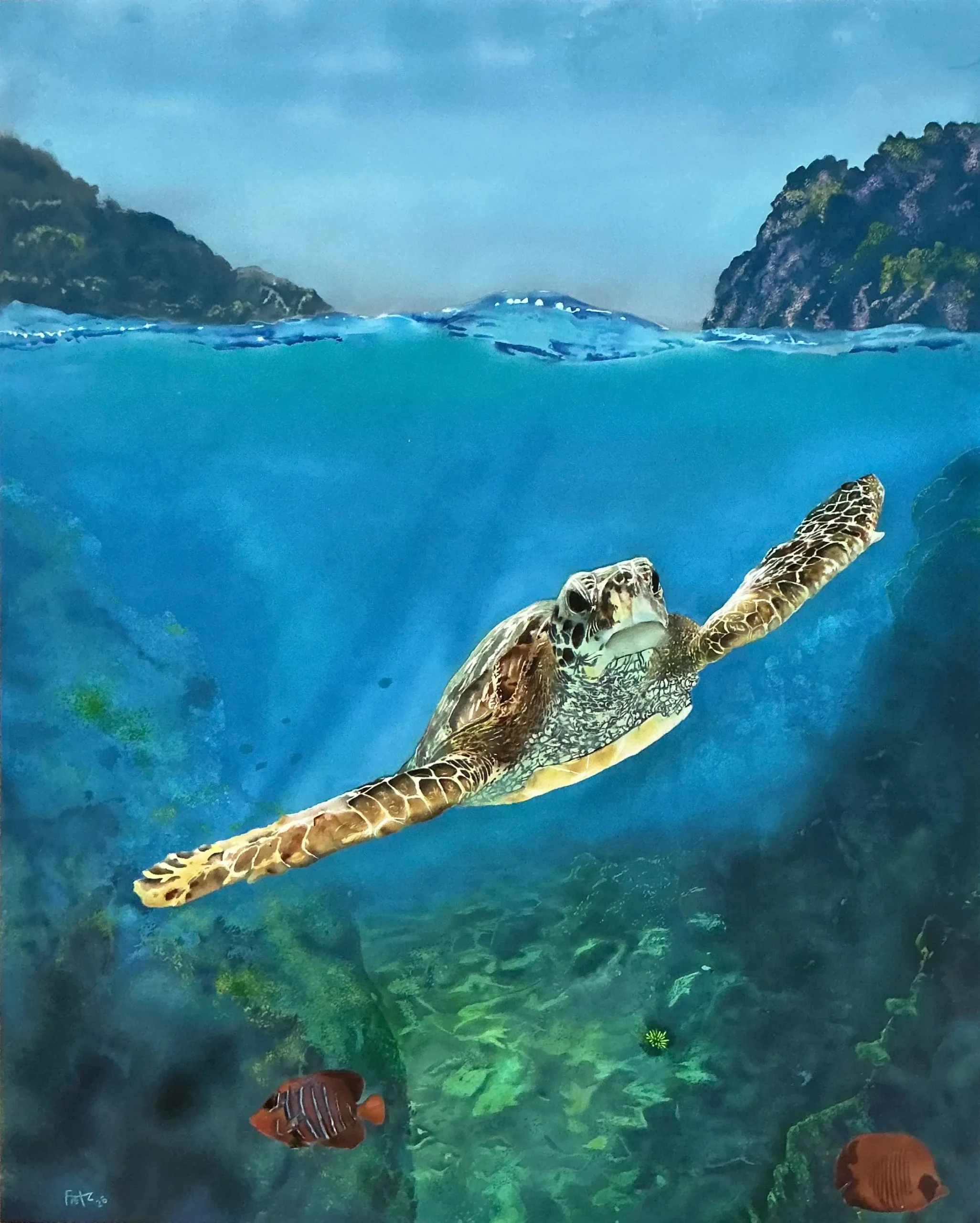Turtle Passage