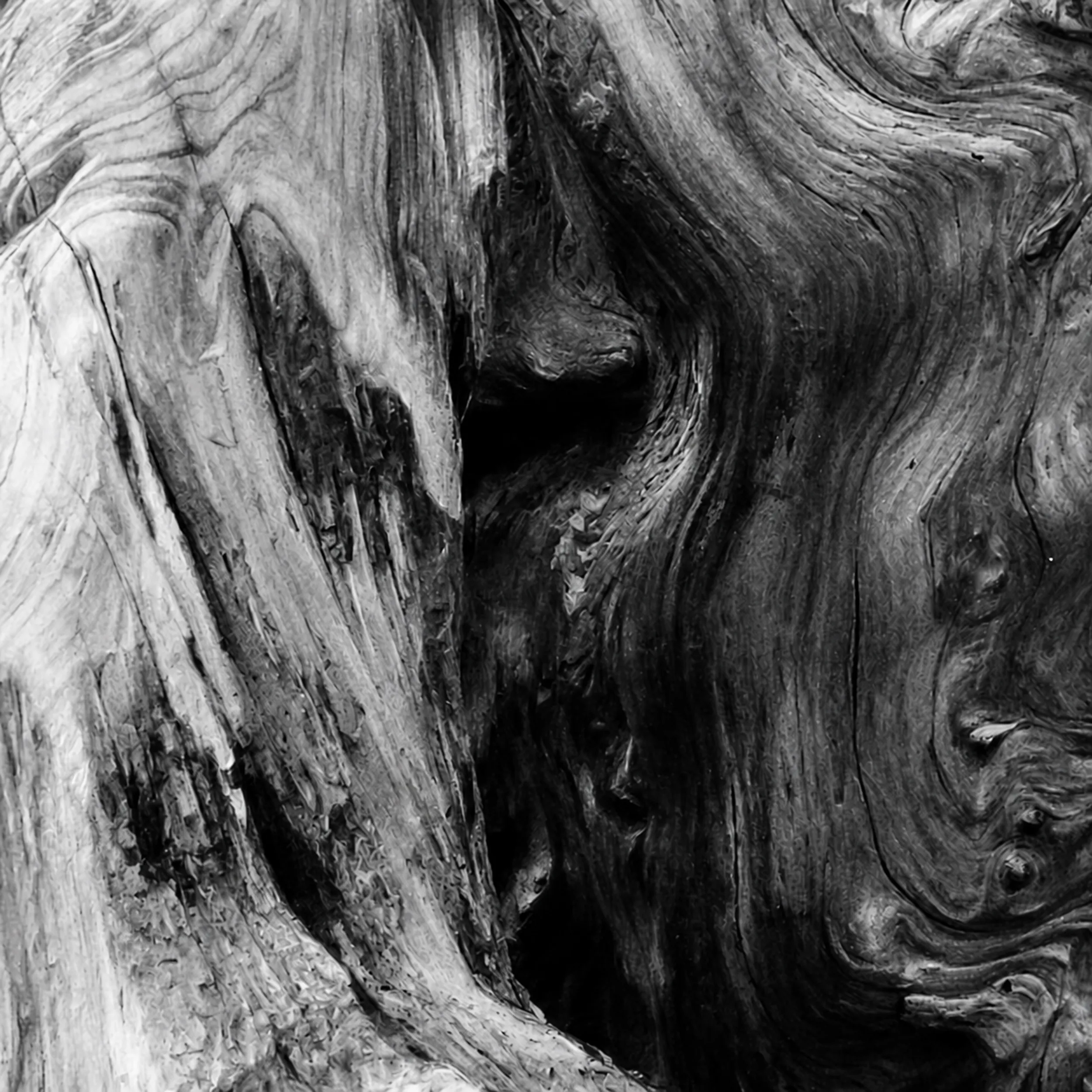 Whispers in the Grain