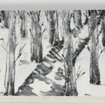 Flagstaff Winter