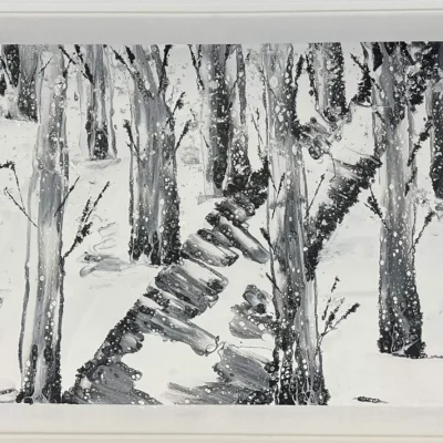 Flagstaff Winter