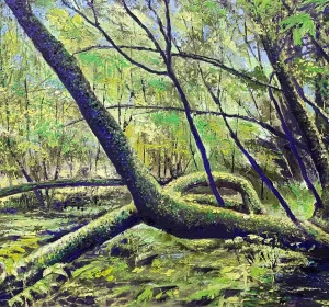 Mid Day at Monarch Message