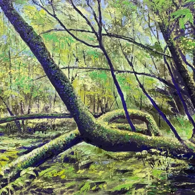 Mid Day at Monarch Message