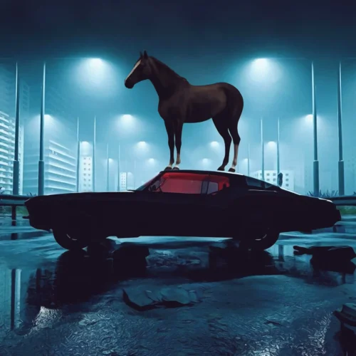 A Horse On The Roof