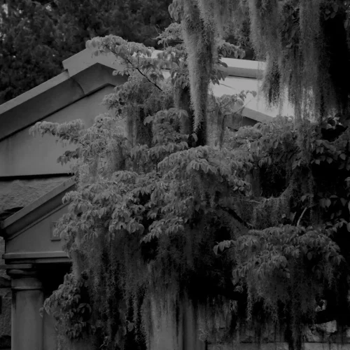 Afternoon In The Cemetry