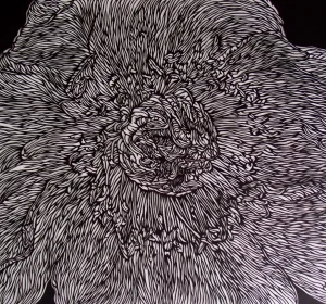 Kiyora Artist Banner