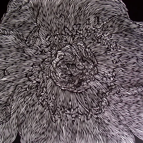 Kiyora Artist Banner