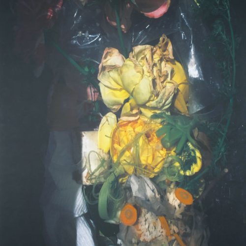 Ralph Miller Artist Banner