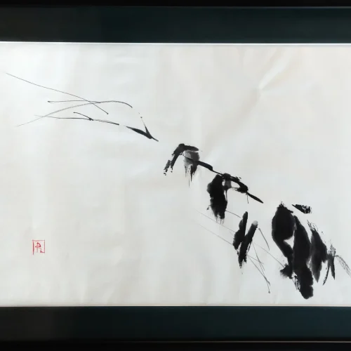 Shadows Of Winter Under Snow