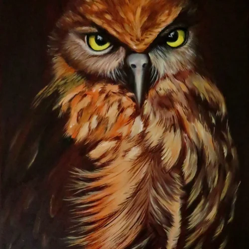 Steffi Rodigas Artist Banner