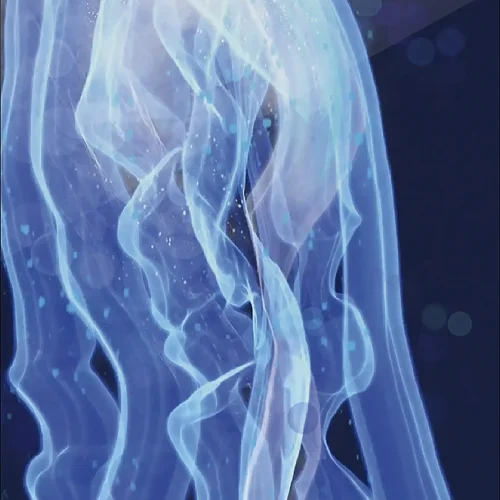 Susana Mazzarino Artist